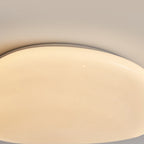 Pebble-Shaped Ceiling Light with Organic Diffuser, Integrated LED
