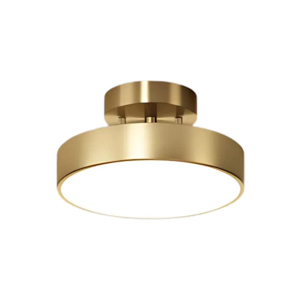 Modern Ceiling Light with Adjustable Head, 3 Colour Modes