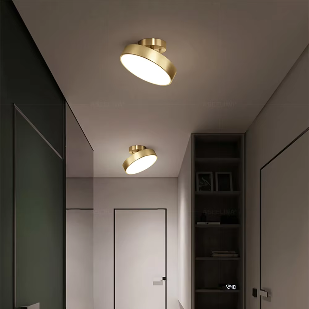 Modern Ceiling Light with Adjustable Head, 3 Colour Modes