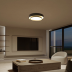 Modern Double-Ring LED Ceiling Light with 3 Colour Settings