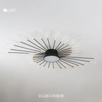 Modern Firework Burst Ceiling Light with Acrylic Rays