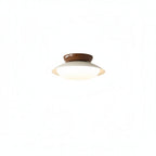 Retro Dome Ceiling Light with Integrated LED Panel, 25 cm