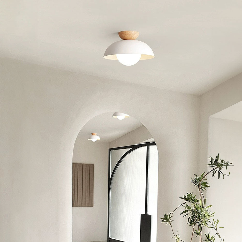 Semi-Flush Dome Ceiling Light with Wood Detail, G9