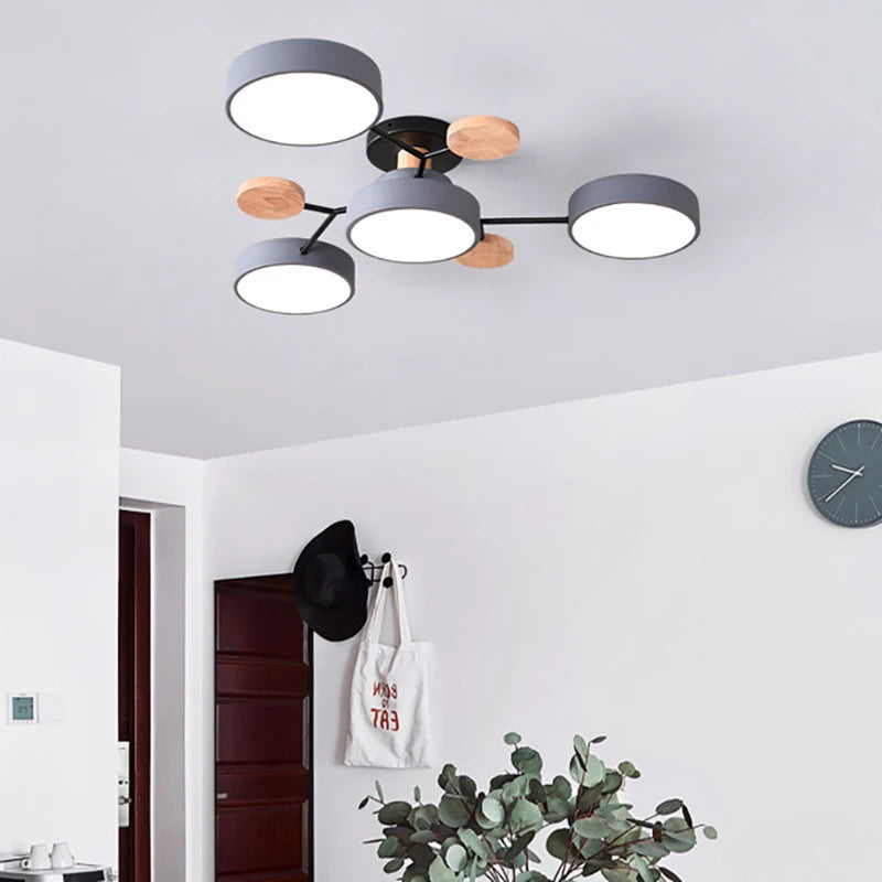 Scandi Branch Ceiling Light with 4 to 7 Cylinder Shades