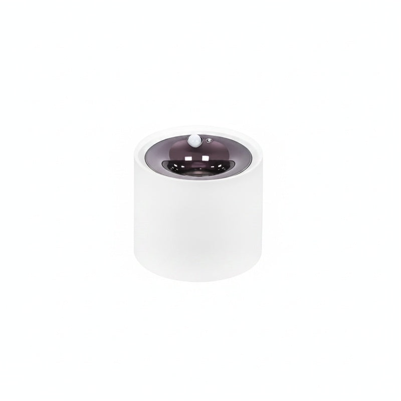 PIR Motion Sensor Ceiling Spotlight, Surface Mount, Ra95