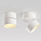 Minimalist Ceiling Spotlight with Rotating Head, Surface Mount
