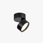 Minimalist Ceiling Spotlight with Rotating Head, Surface Mount