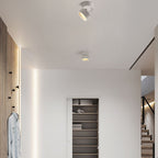 Minimalist Ceiling Spotlight with Rotating Head, Surface Mount