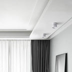 Minimalist Ceiling Spotlight with Rotating Head, Surface Mount
