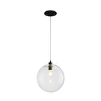 Clear Glass Globe Pendant Light in Matt Black, 20-30 cm