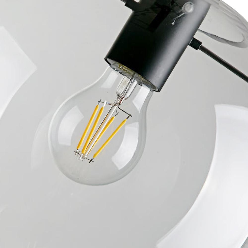 Clear Glass Globe Pendant Light in Matt Black, 20-30 cm