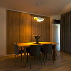 Modern Curved Shade LED Pendant, 3 Colour Temperatures