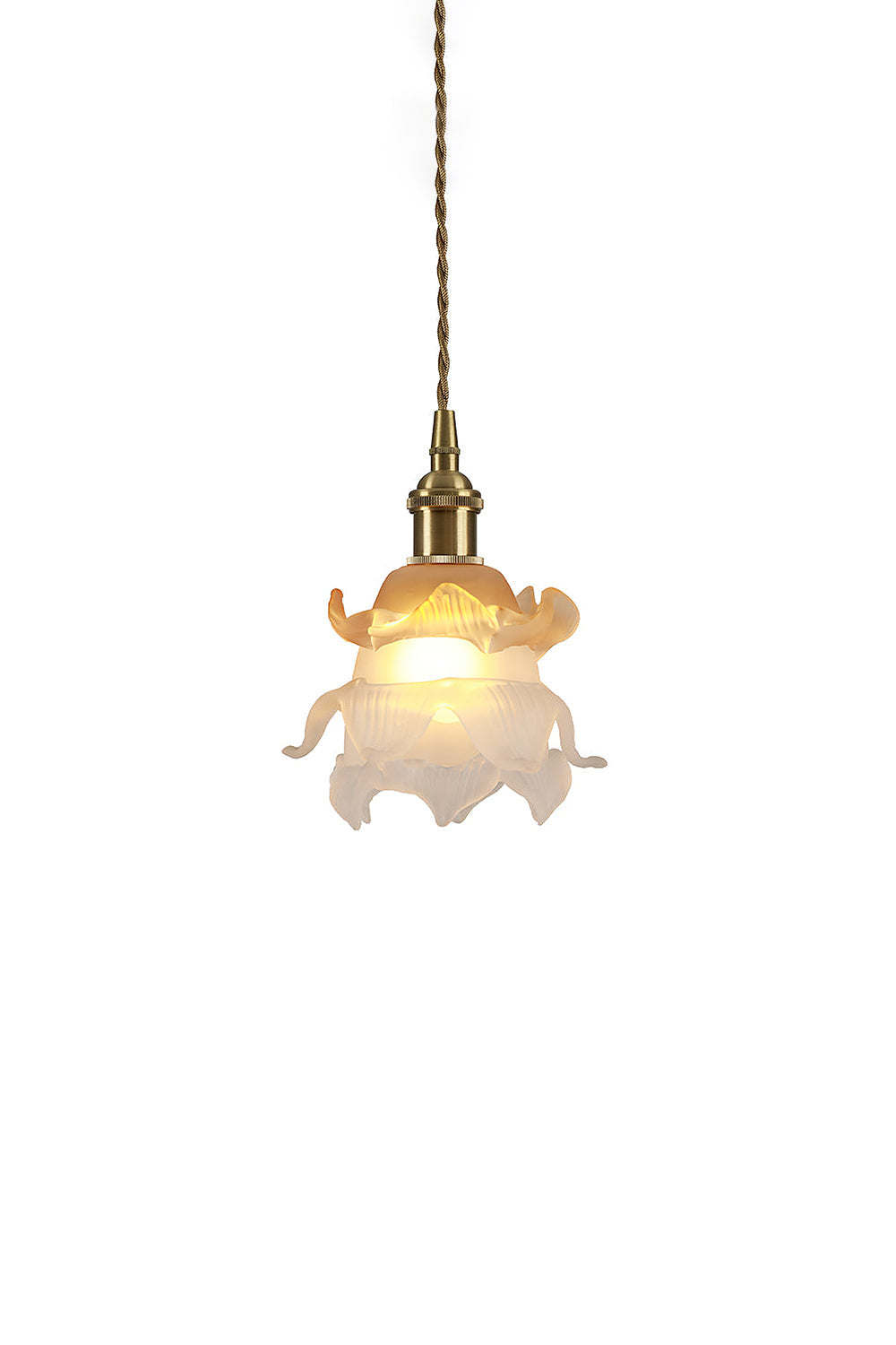 Retro Flower Glass Pendant Light with Polished Brass Fitting