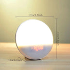 Sunrise Alarm Clock Bedside Lamp with FM Radio and USB Port