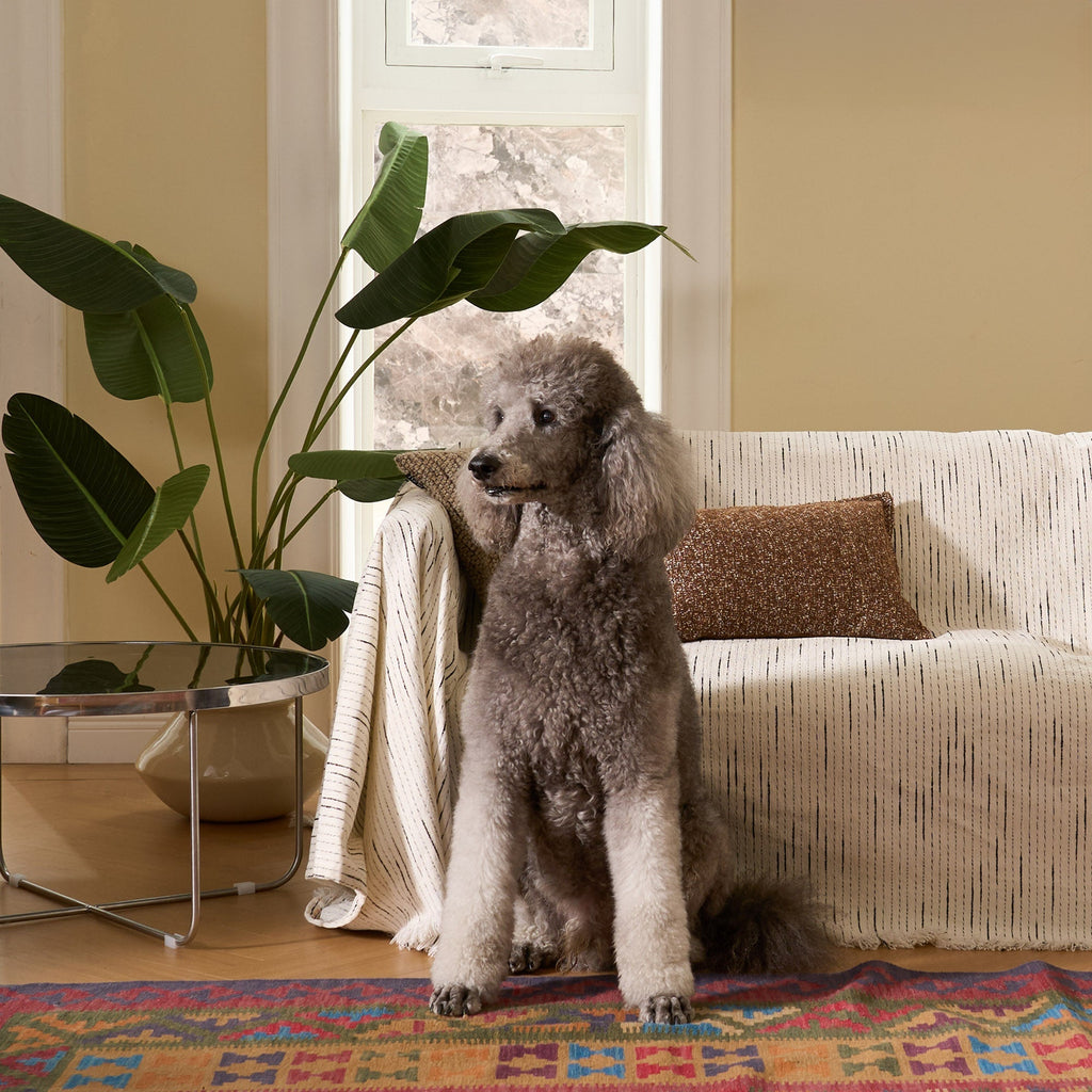 Striped Jacquard Sofa Throw with Tassel Edging