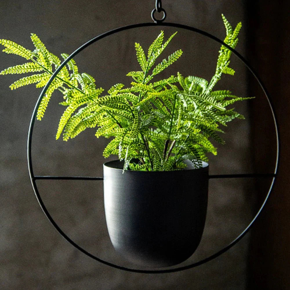Wall Mounted Hanging Planter in Black or Gold Metal Hoop