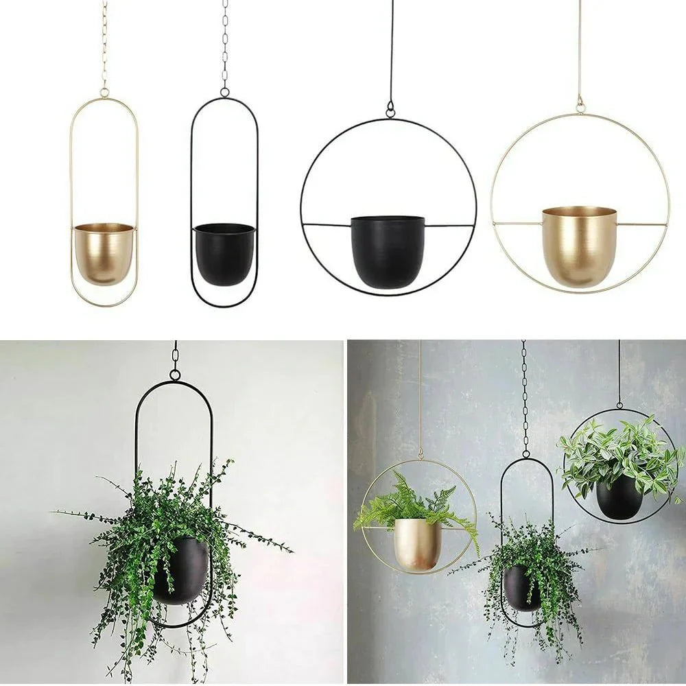 Wall Mounted Hanging Planter in Black or Gold Metal Hoop