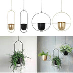 Wall Mounted Hanging Planter in Black or Gold Metal Hoop