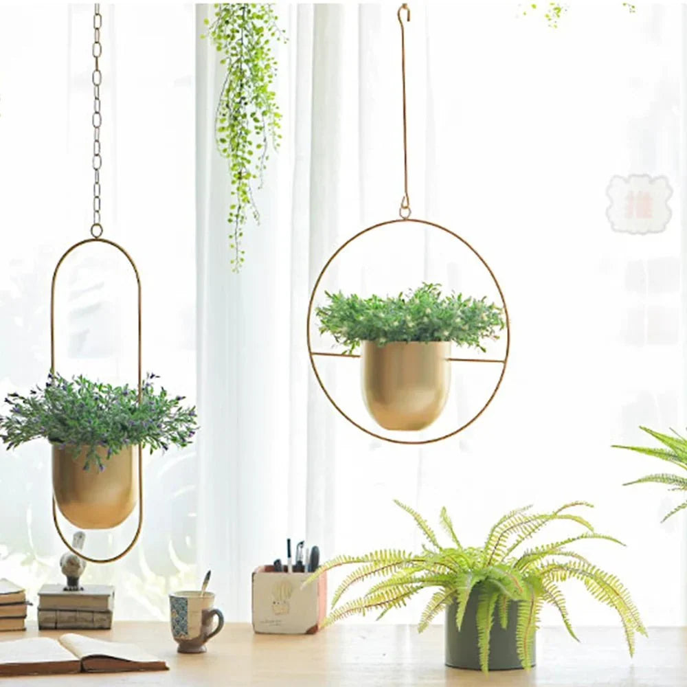 Wall Mounted Hanging Planter in Black or Gold Metal Hoop
