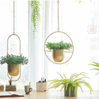 Wall Mounted Hanging Planter in Black or Gold Metal Hoop