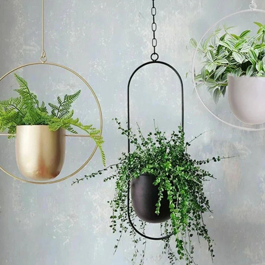 Wall Mounted Hanging Planter in Black or Gold Metal Hoop