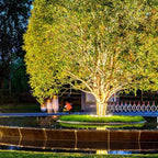 LED Tree Base Uplight for Gardens, Aluminium and Glass