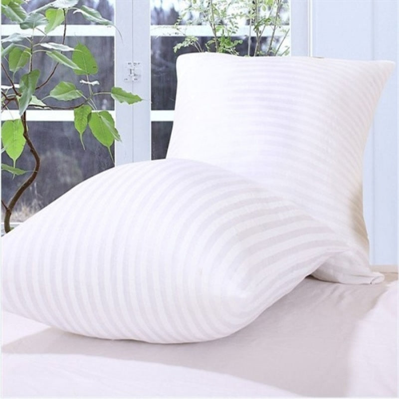 Polyester Cushion Inner Pad with Hidden Zip, Five Sizes