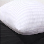 Polyester Cushion Inner Pad with Hidden Zip, Five Sizes