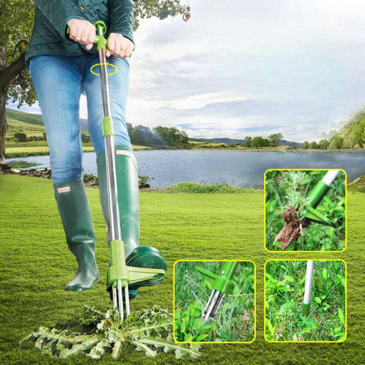 Long-Handled Stainless Steel Weed Puller for Standing Use