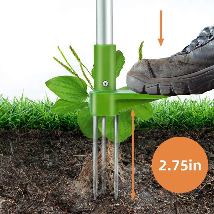 Long-Handled Stainless Steel Weed Puller for Standing Use