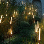 Solar Reed Garden Stake Lights with LED, 65 cm