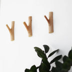 Boho Branch Wall Hook with Self-Adhesive Mounting, No Drilling